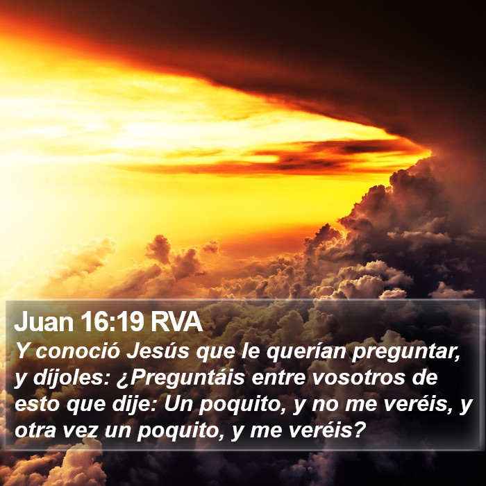 Juan 16:19 RVA Bible Study