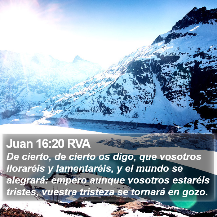 Juan 16:20 RVA Bible Study