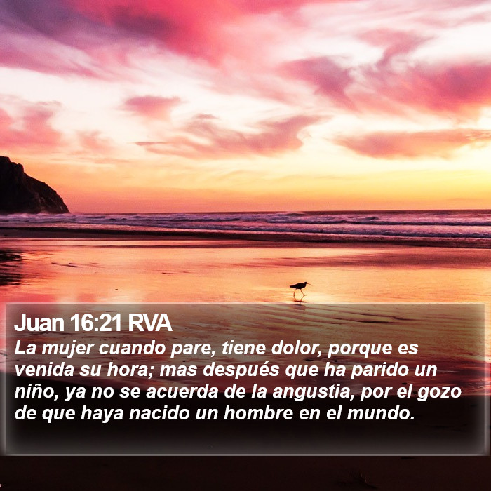 Juan 16:21 RVA Bible Study