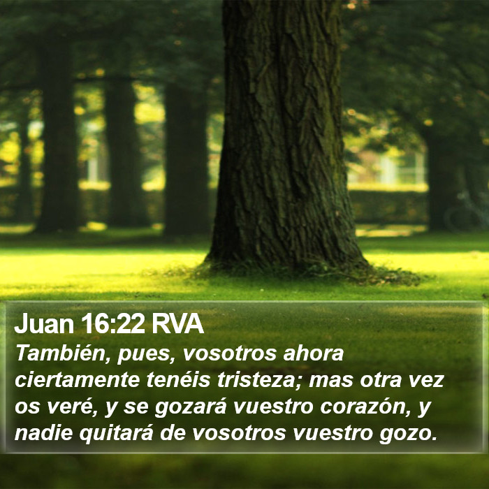 Juan 16:22 RVA Bible Study