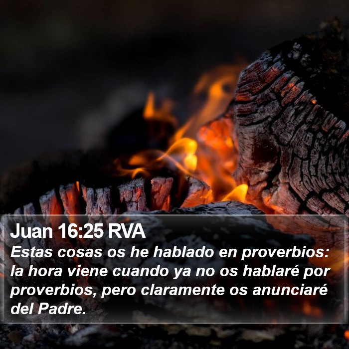 Juan 16:25 RVA Bible Study