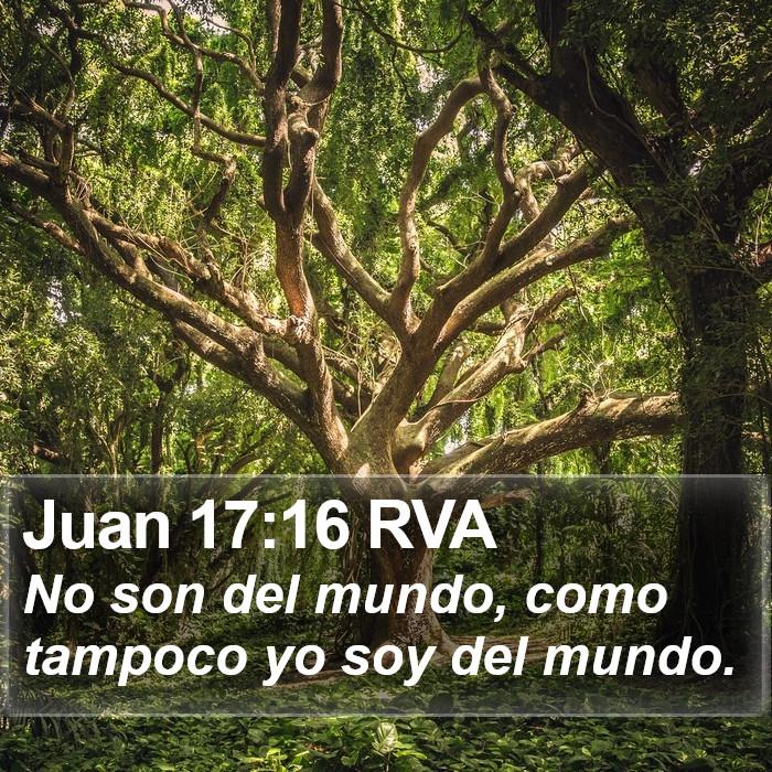 Juan 17:16 RVA Bible Study