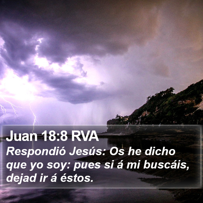 Juan 18:8 RVA Bible Study