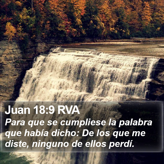 Juan 18:9 RVA Bible Study