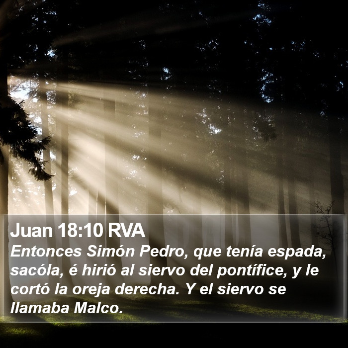 Juan 18:10 RVA Bible Study