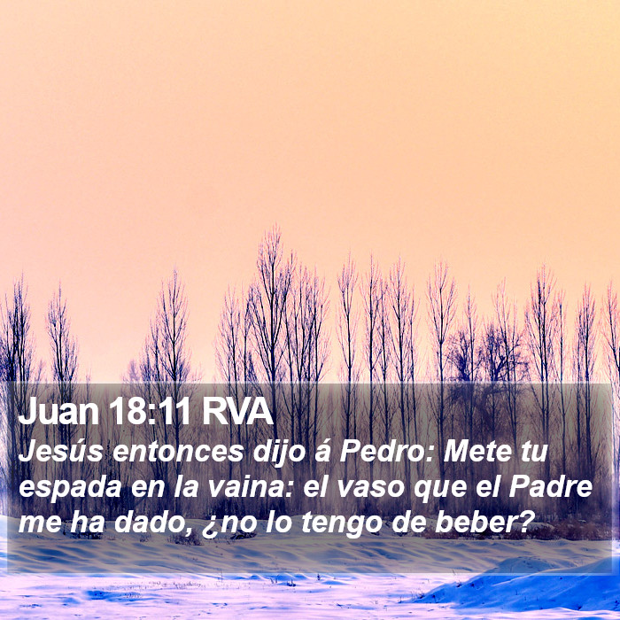 Juan 18:11 RVA Bible Study