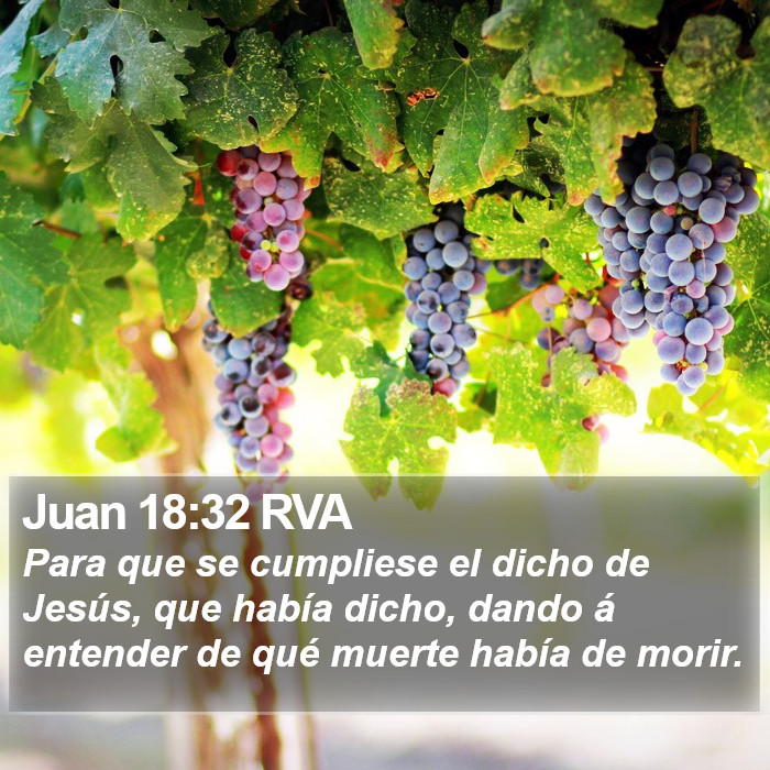 Juan 18:32 RVA Bible Study