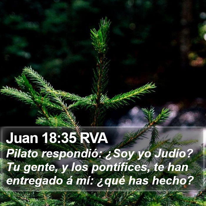 Juan 18:35 RVA Bible Study