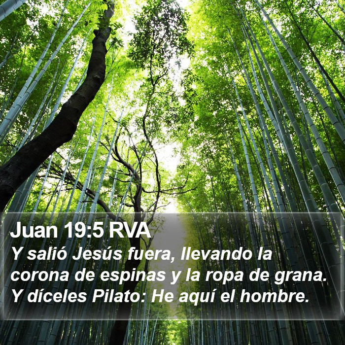 Juan 19:5 RVA Bible Study