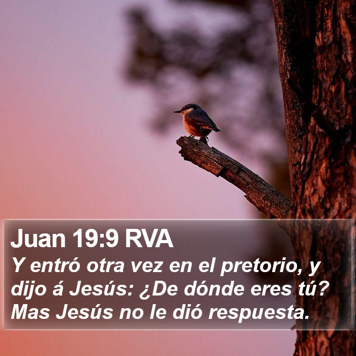 Juan 19:9 RVA Bible Study