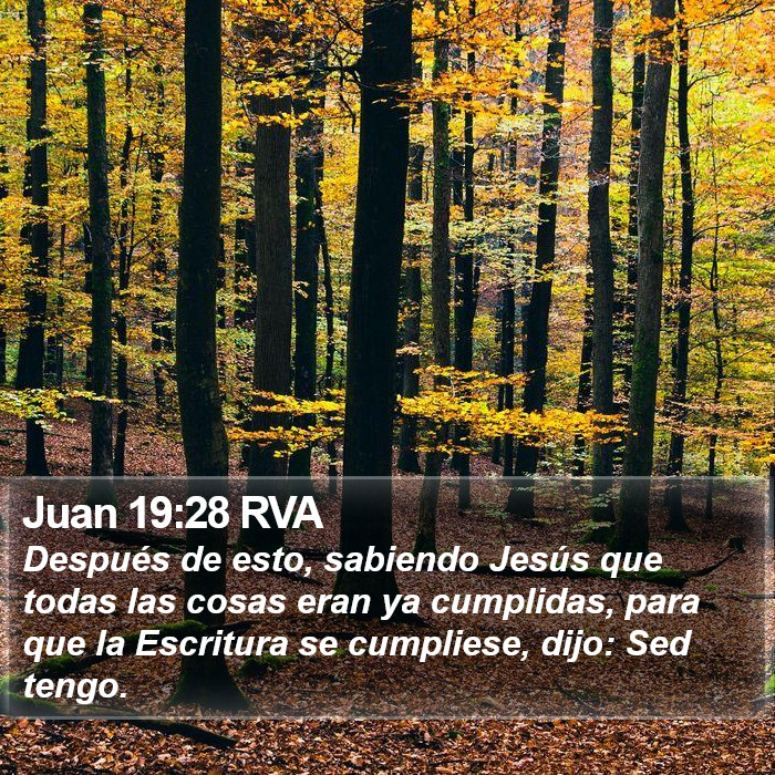 Juan 19:28 RVA Bible Study