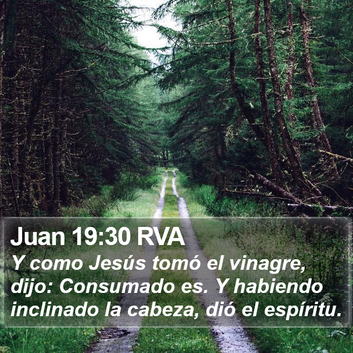 Juan 19:30 RVA Bible Study