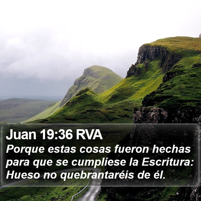 Juan 19:36 RVA Bible Study