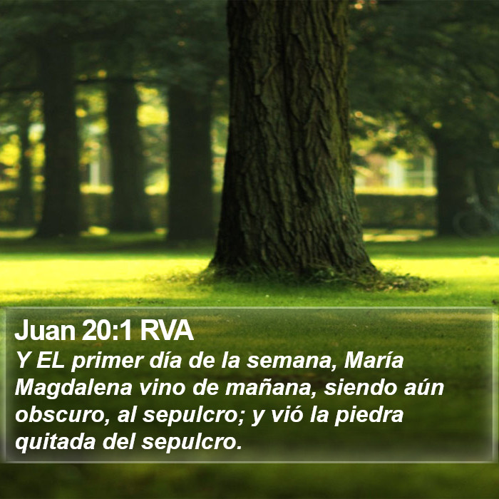 Juan 20:1 RVA Bible Study