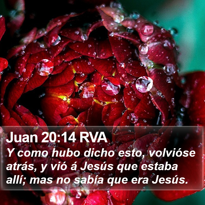 Juan 20:14 RVA Bible Study