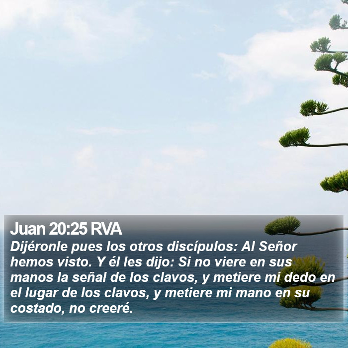 Juan 20:25 RVA Bible Study