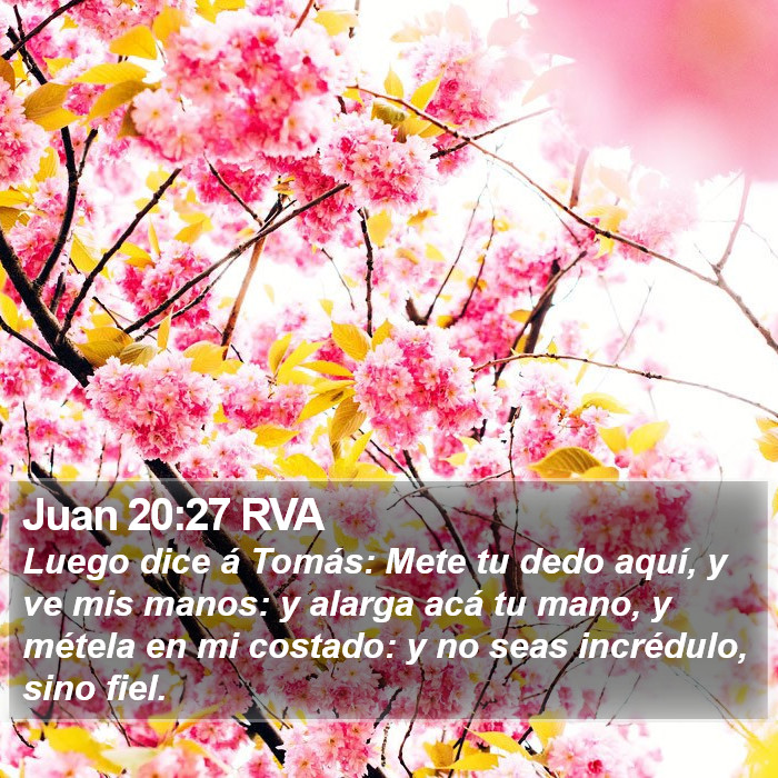 Juan 20:27 RVA Bible Study