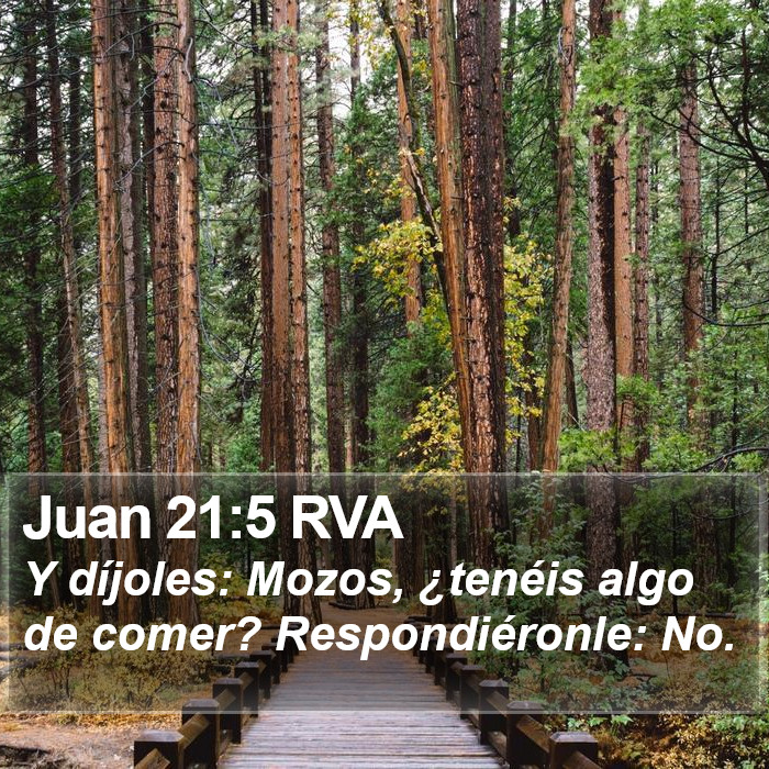 Juan 21:5 RVA Bible Study