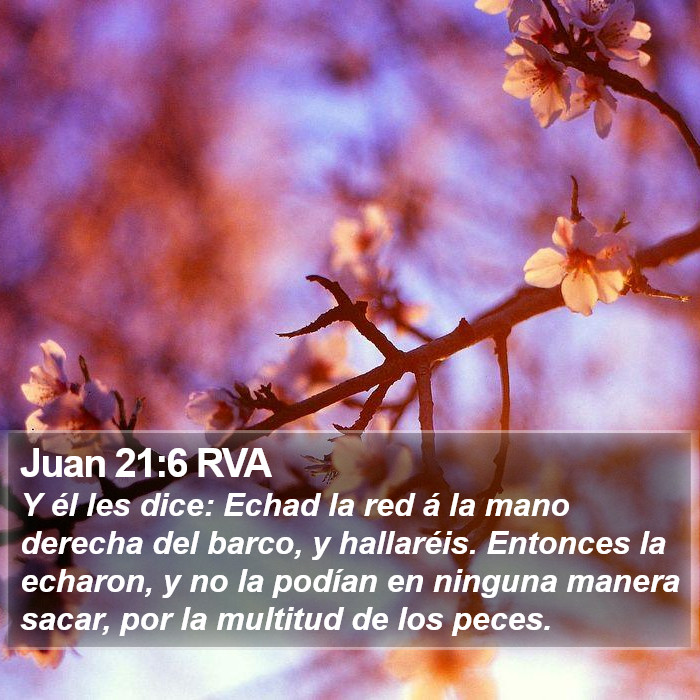 Juan 21:6 RVA Bible Study