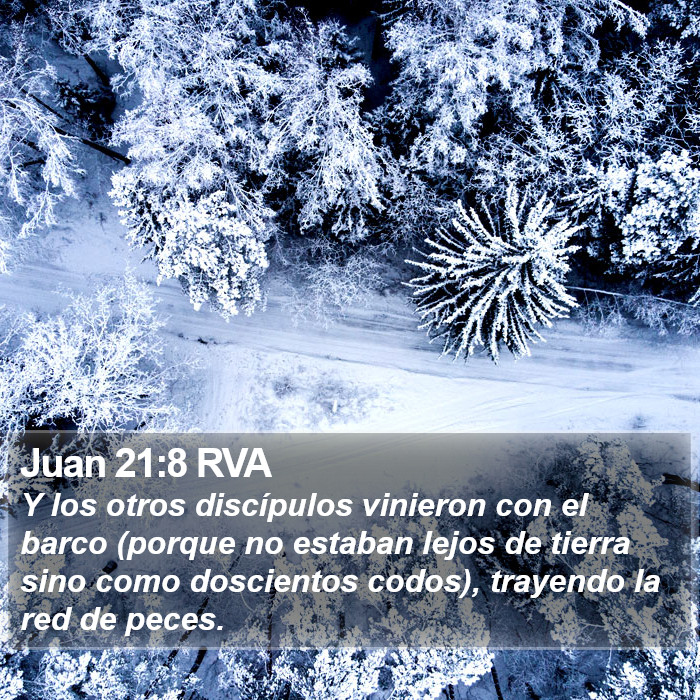 Juan 21:8 RVA Bible Study