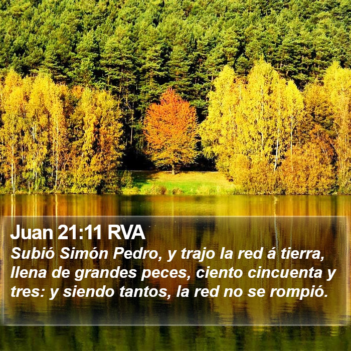 Juan 21:11 RVA Bible Study