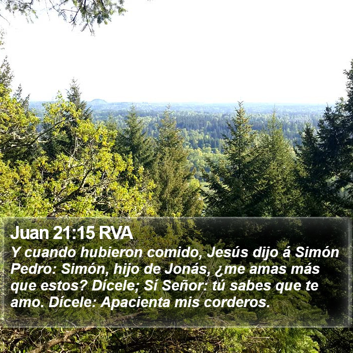 Juan 21:15 RVA Bible Study