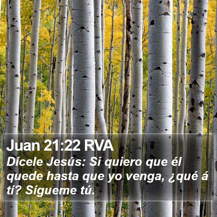 Juan 21:22 RVA Bible Study