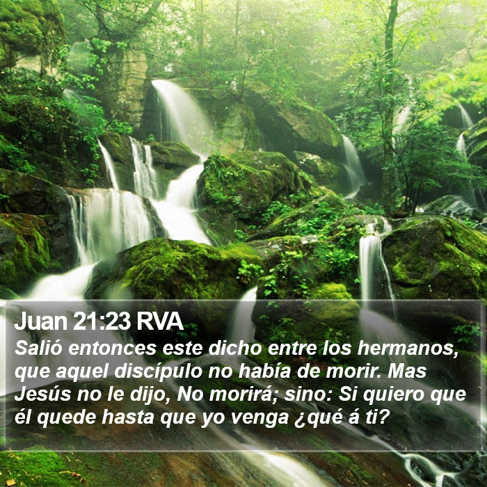 Juan 21:23 RVA Bible Study