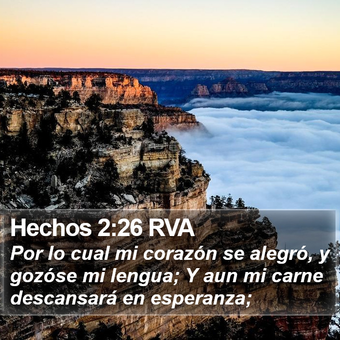 Hechos 2:26 RVA Bible Study