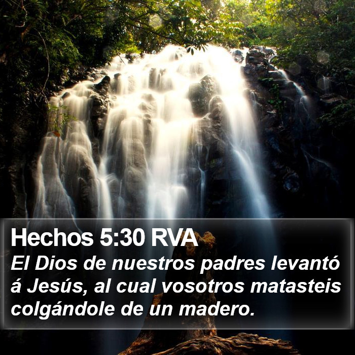 Hechos 5:30 RVA Bible Study