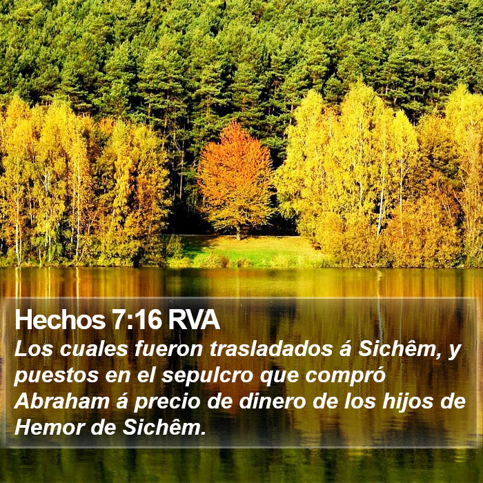 Hechos 7:16 RVA Bible Study