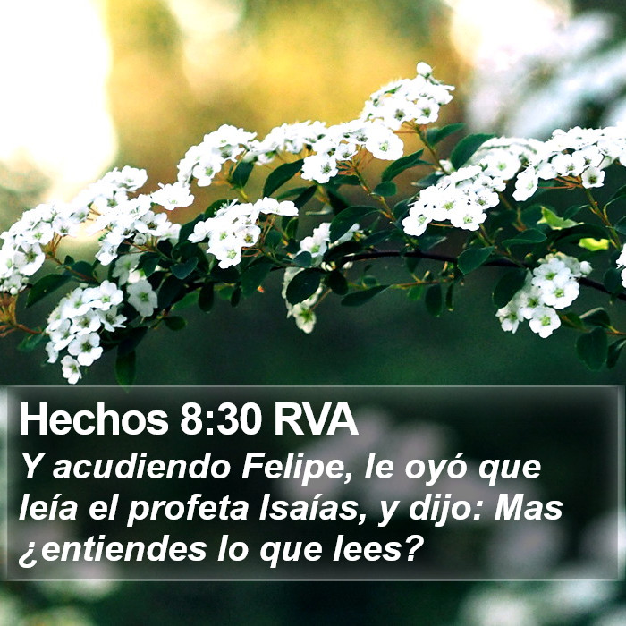 Hechos 8:30 RVA Bible Study