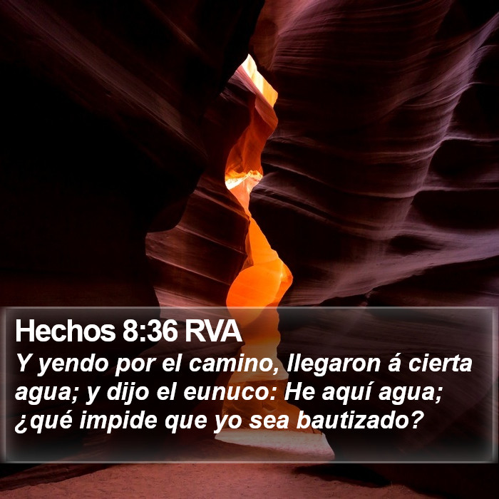 Hechos 8:36 RVA Bible Study