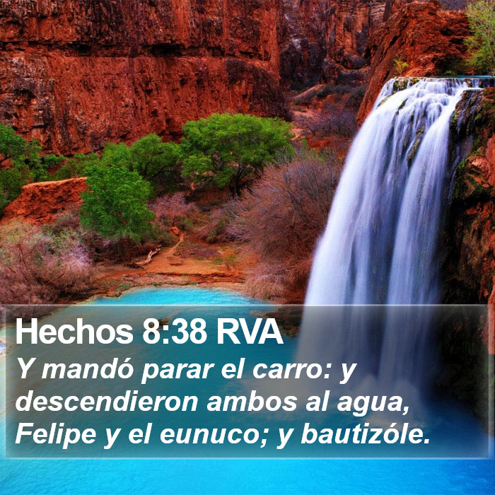 Hechos 8:38 RVA Bible Study