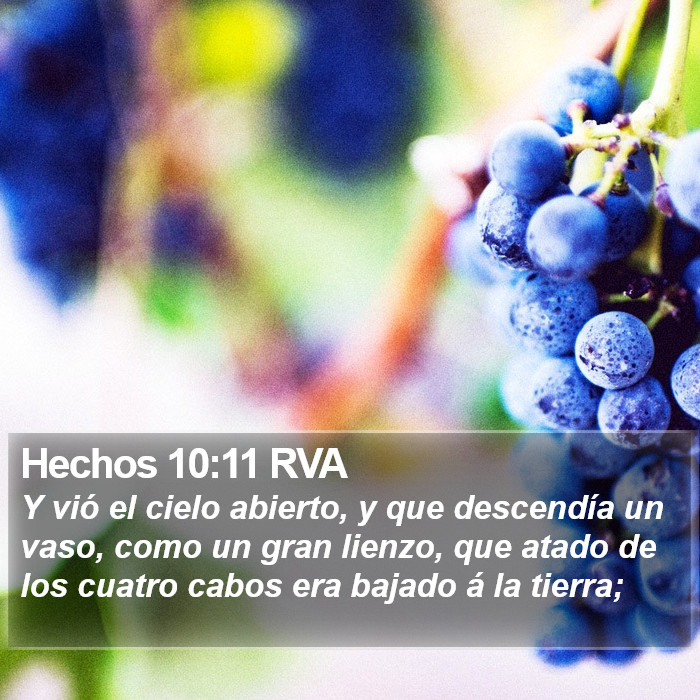 Hechos 10:11 RVA Bible Study