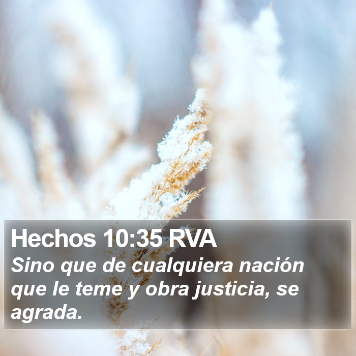 Hechos 10:35 RVA Bible Study