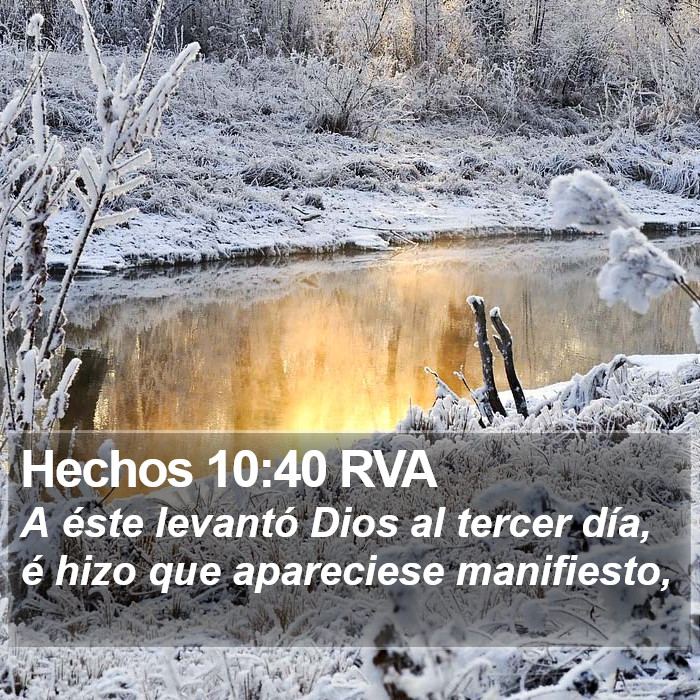 Hechos 10:40 RVA Bible Study