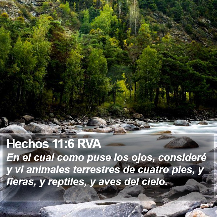 Hechos 11:6 RVA Bible Study