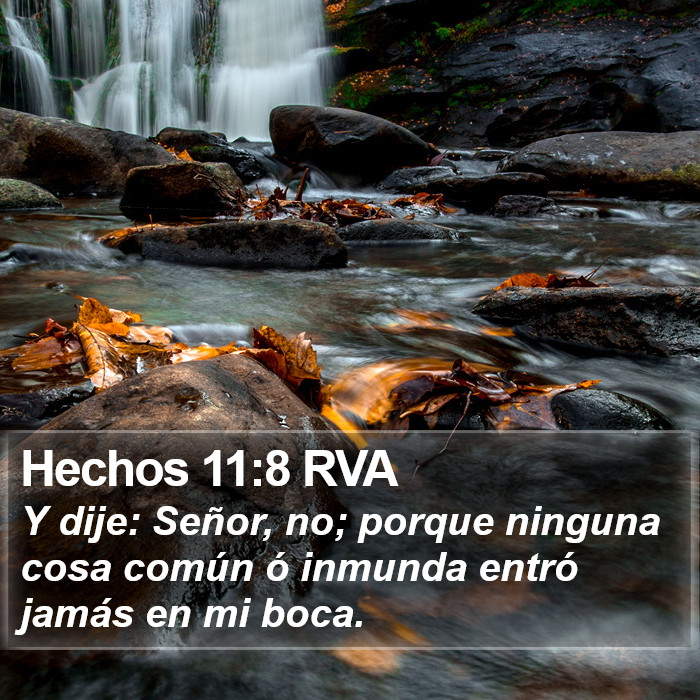 Hechos 11:8 RVA Bible Study