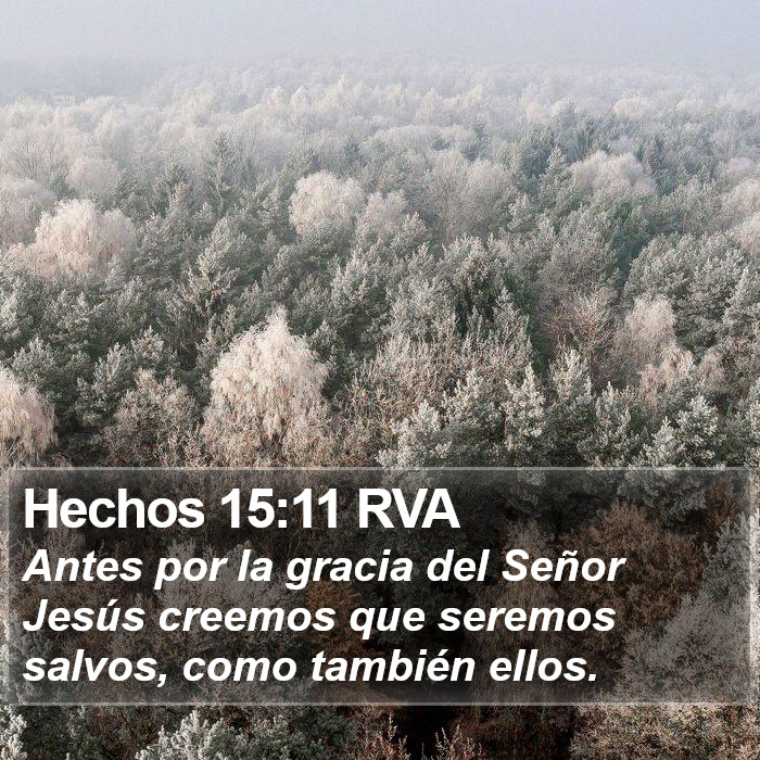 Hechos 15:11 RVA Bible Study