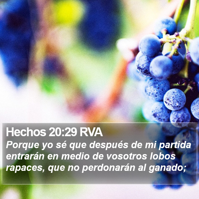 Hechos 20:29 RVA Bible Study