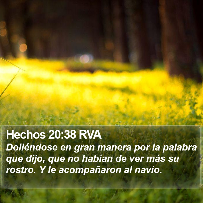Hechos 20:38 RVA Bible Study