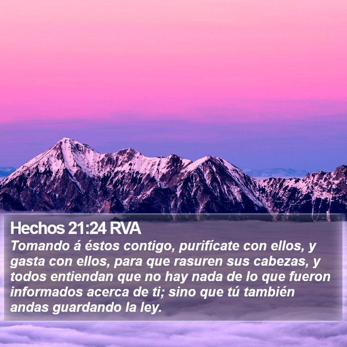 Hechos 21:24 RVA Bible Study