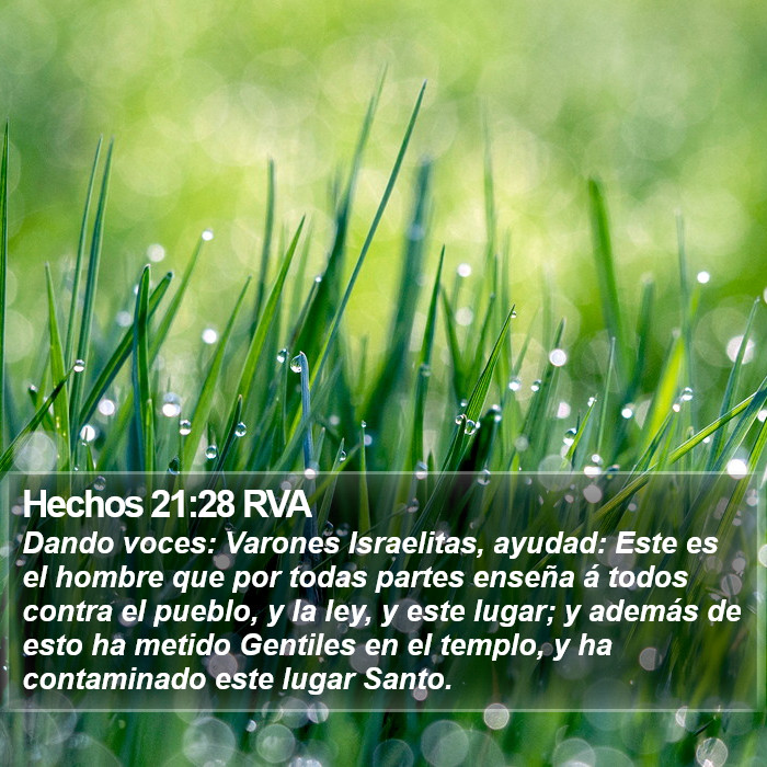 Hechos 21:28 RVA Bible Study