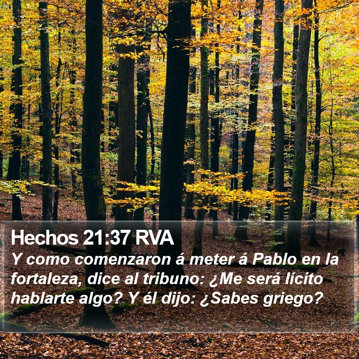 Hechos 21:37 RVA Bible Study