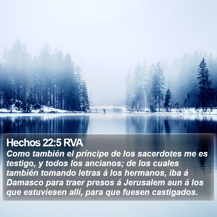 Hechos 22:5 RVA Bible Study