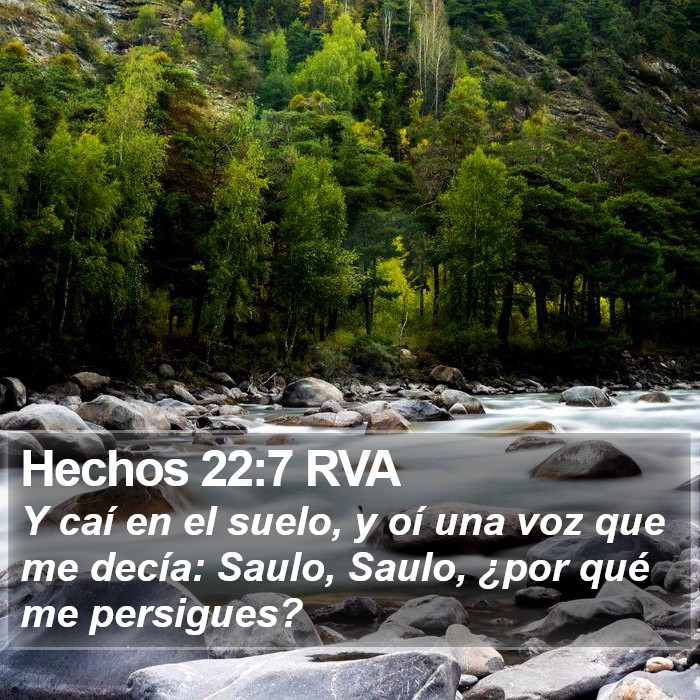 Hechos 22:7 RVA Bible Study