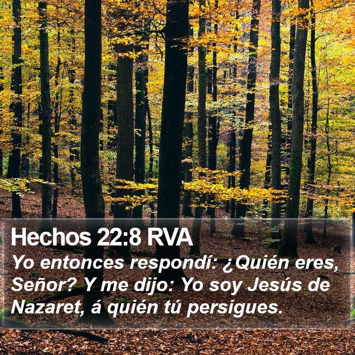 Hechos 22:8 RVA Bible Study