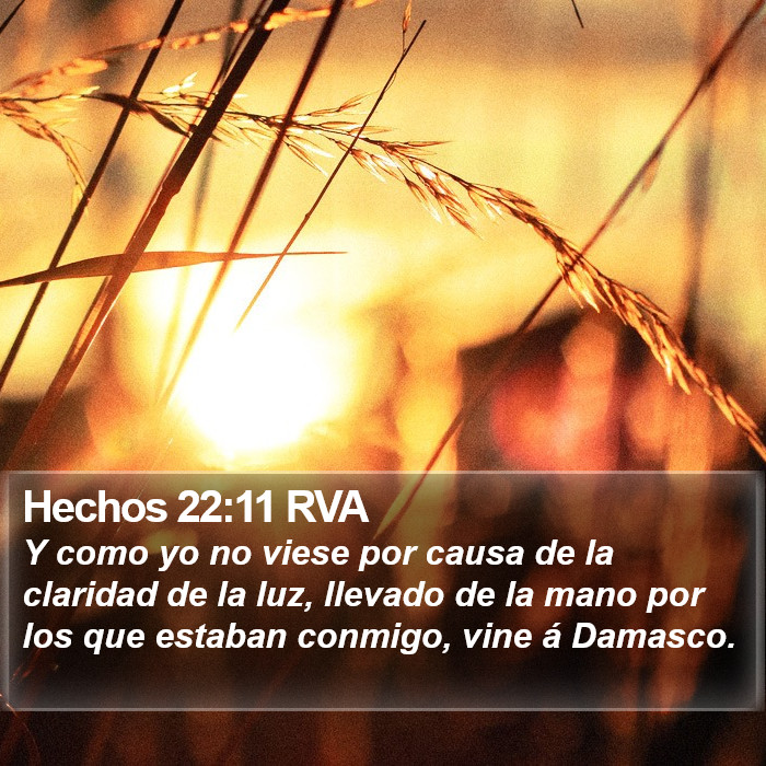 Hechos 22:11 RVA Bible Study