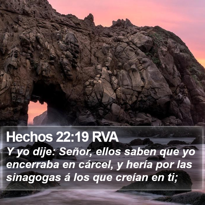 Hechos 22:19 RVA Bible Study